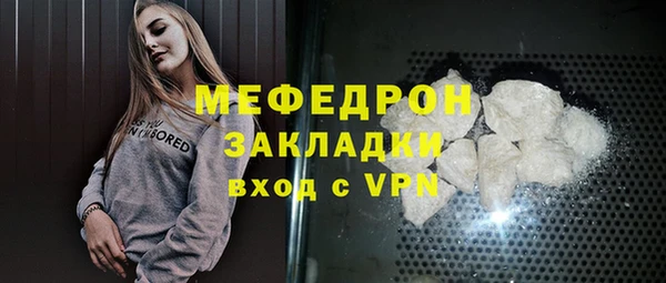 шишки Надым