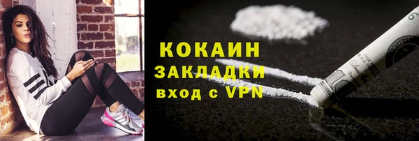 индика Нея