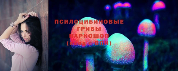 индика Нея