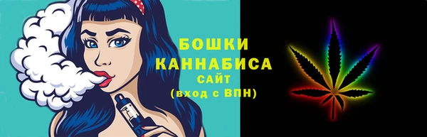 индика Нея