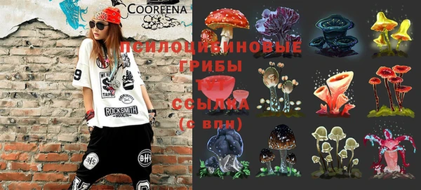 прущие грибы Нефтекумск
