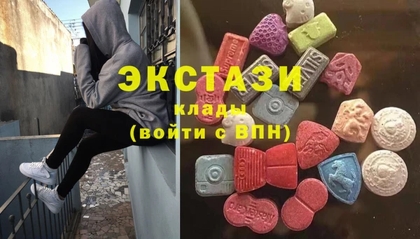 шишки Надым