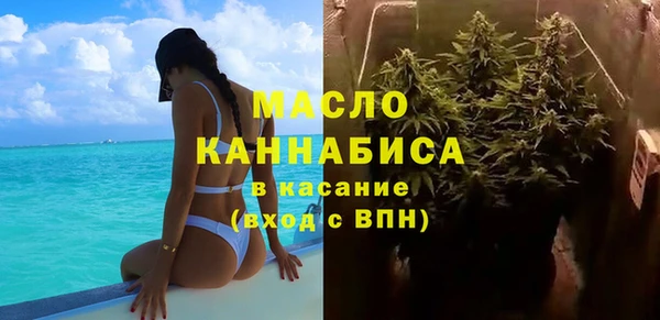 шишки Надым