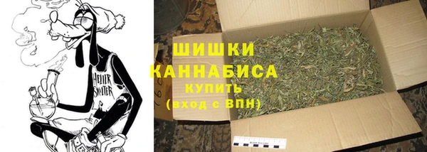 прущие грибы Нефтекумск