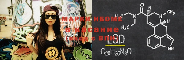 прущие грибы Нефтекумск