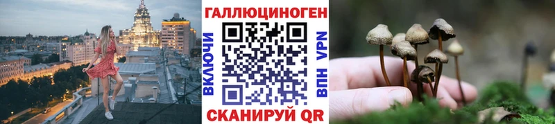 Псилоцибиновые грибы Psilocybe  Находка 