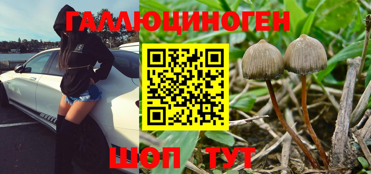 Галлюциногенные грибы Magic Shrooms  Вход с VPN  где продают наркотики  Находка 