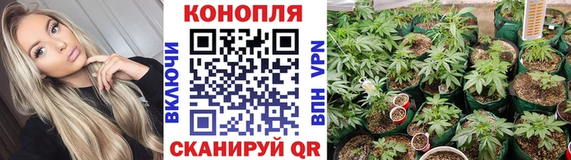 Канабис MAZAR  kraken онион  Находка 